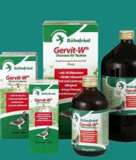 GERVIT-W